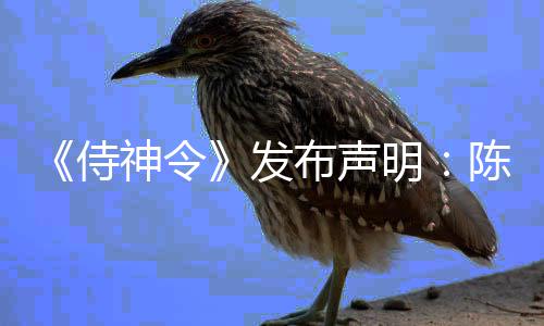 布声明为电影唯一男主角侍神令陈坤发