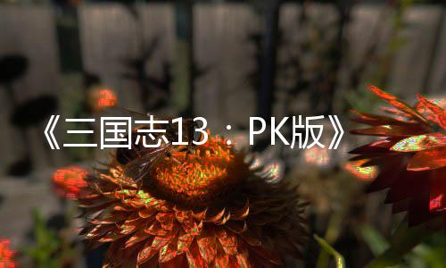 K版托玩国志委巧三法技