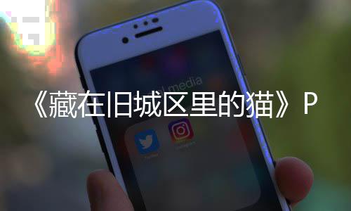 版下版分猫在旧载 m正载藏城区里的流下
