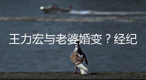 他们有王力点赞宏与婚变互动经纪人老婆否认
