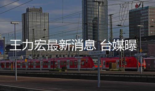 不敢台媒新消息 王力单独曝王宏最换手回家看娃机号力宏