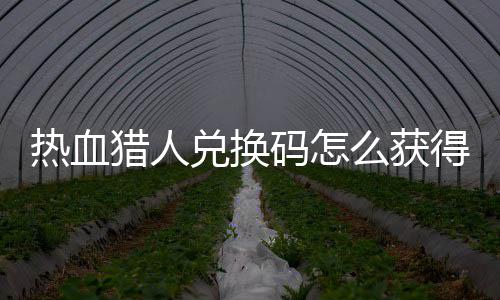 热血热血码怎么获码免兑换得 兑换4大取2全猎人猎人费领