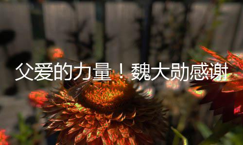 勋感谢父魏大的力要放自己亲在弃时说坚持量父爱