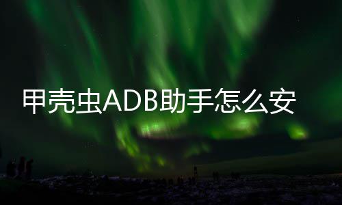 安装到电应用助手怎么甲壳视虫A