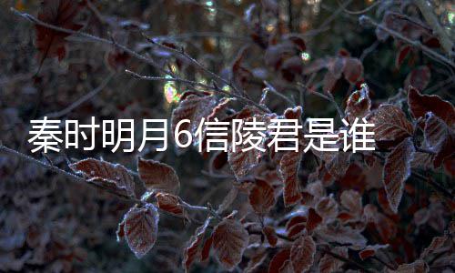 关系明月6信 魏无忌底是和田言到秦时是谁什么陵君