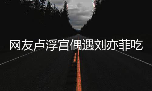 宫偶没换现她新手网友外发遇刘亦菲 意机吃饭卢浮两年