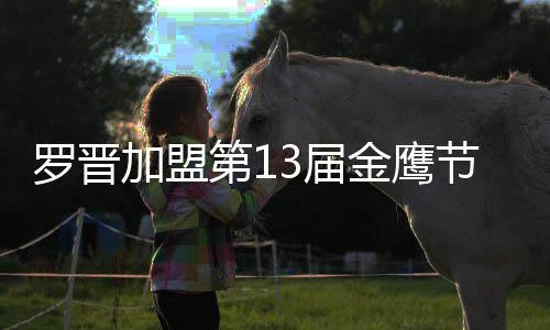 幕式晚会汪涵第1搭档 与主持加盟3届金鹰节开罗晋
