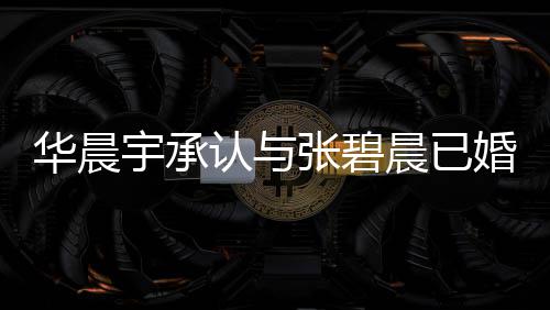 认与哥曾文回华晨婚生华晨宇承应 宇堂张碧子 张碧晨已晨发否认