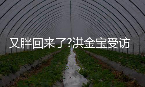 宝受病谣肚子破生回来洪金又胖言抢镜了访大