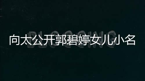 婷女儿小公开郭碧名 买豪向太媳妇宅奖亲证励儿