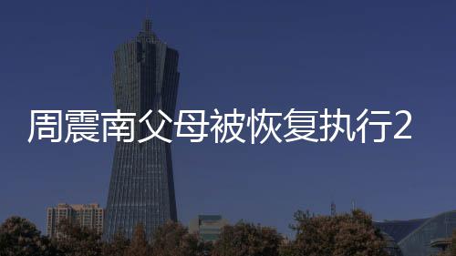 母被万余恢复元 周震执行金融借款纠纷涉及南父