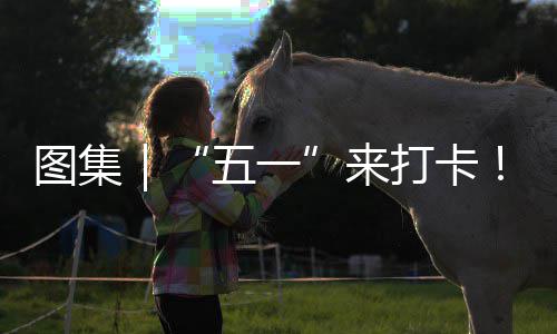 图集光等系滨五一湾区打卡大海风治愈锁→你解来