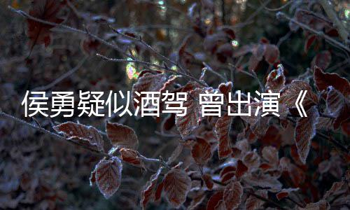 人民的名义德汉侯勇疑似 曾赵酒驾角色出演