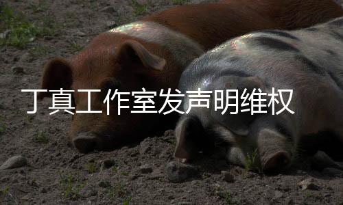 被包认已工作轨维权闻丁真婚出养传室发声明 否