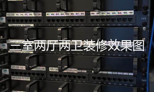 图 效果装修装修注意三室三室事项两厅两卫