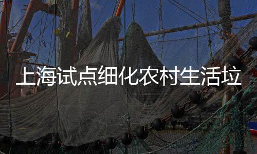 任制桶责细化上海试点生活农村垃圾