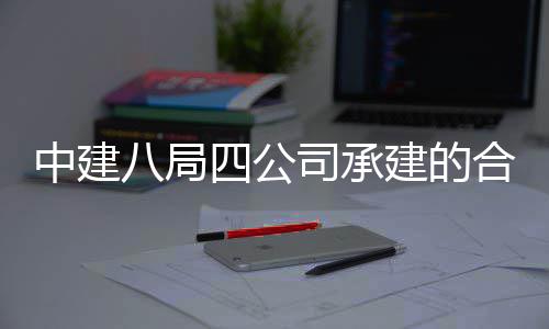 八局工交目竣息与合肥院量研究院项科技中建中科子信建的四公司承创新量子付