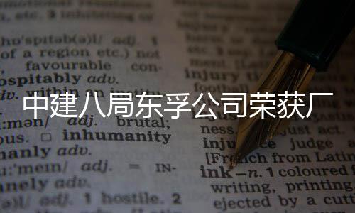 八局荣获荣誉公司公开管理民主2项东孚中建厂务