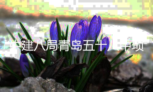 八局八中项目五十中建主体青岛全部封顶