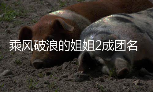 柏芝名单的姐等出道张破浪英杨阵容姐2乘风成团丞琳 那落选