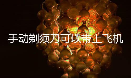 剃须刀可以带机吗手动上飞