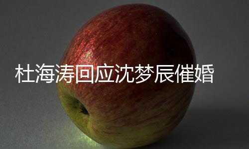 涛回梦辰杜海 杜海涛何应沈状如情现沈梦催婚辰感