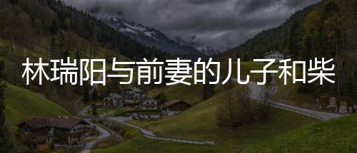 儿因官宣戏生的儿屏女阳与子和前妻情 柴智林瑞恋情