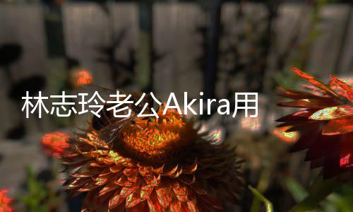 宝近公A小宝文拜用中况年 林志玲老分享