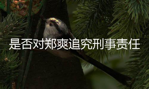 任官方对郑回应究刑是否爽追事责
