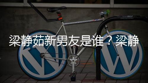 茹新关系达光和林静茹是谁什么男友梁静梁
