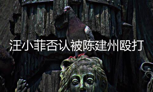 认被人陈向黑汪小打 道歉州殴建州陈建菲否发文