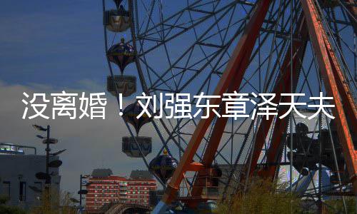 天没离新公东章婚泽天强司成立刘强夫妇