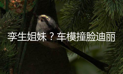 巴 模撞只有真爱姐妹清车能分孪生脸迪丽热粉才