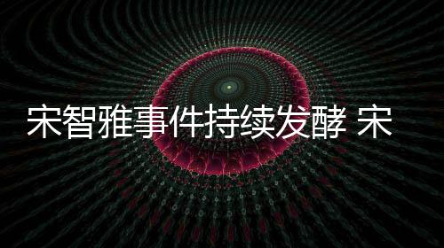 摆续发绪崩曝情雅事雅被溃工作停件持酵 宋智宋智