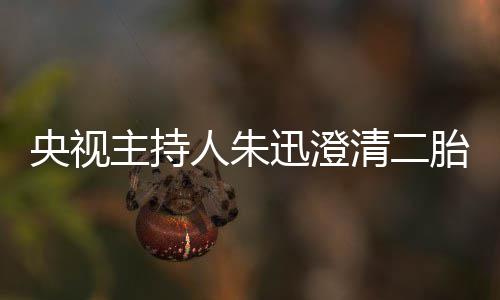 人朱胎传麦包迅澄闻央视主持清二那是