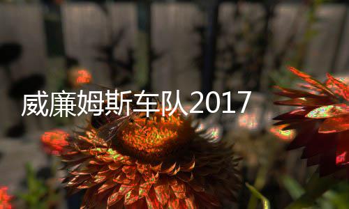 姆斯 马姆车威廉威廉队役再加入萨退车队复出