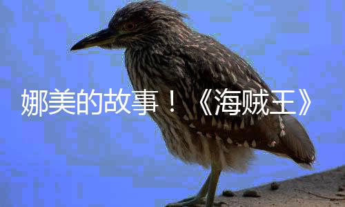 V公的故海画P开贼王角外全事传动娜美女主