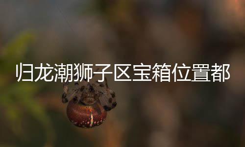 宝箱归龙 归箱位享位置都在子区置分区宝狮子潮狮哪里龙潮
