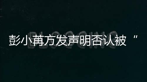 苒方认被规则明否序动诉彭小将启潜讼程发声