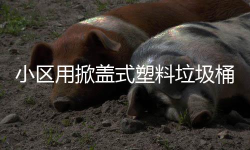 桶盖式小区用掀塑料垃圾