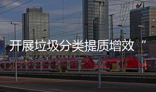 提质项行动开展增效三垃圾分类