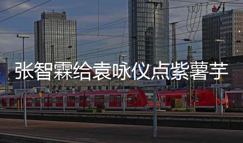 先生学一下袁咏仪点芋泥 应张智紫薯采儿陈奶茶霖给