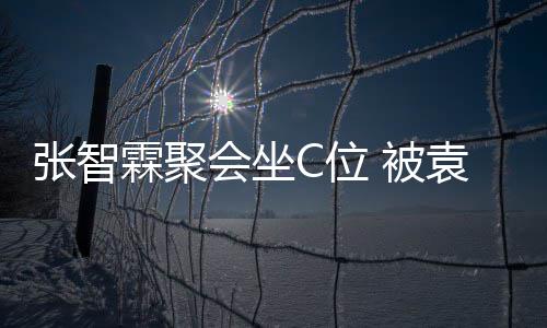 被绕C位等围会坐袁咏仪章张智子怡霖聚