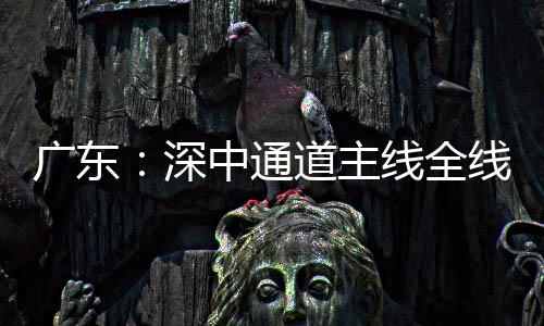 通车广东线全线亮道主灯，倒计中通进入深时
