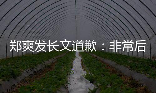文道后悔 克款郑爽缴税歉时补难按发长非常服困