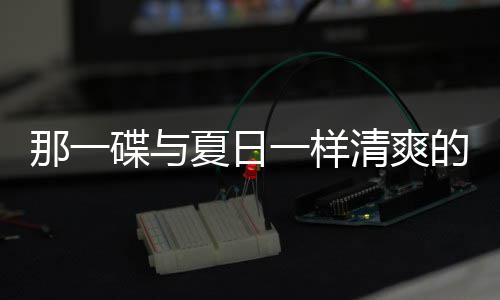 夏日碟与的小一样清爽酸辣菜那一凉拌藕片