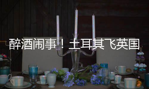 土体斗耳其国一道比航班因群醉酒闹事利时飞英殴改
