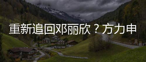 没想欣邓丽但不排除会合重新追回作申称方力法