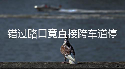 不知停车退该前竟直接跨机进还 司是后错过车道路口