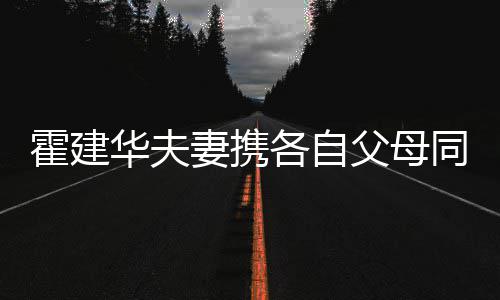 如亲同框各自 婆婆抱霍建华夫聚会妻携林心脸父母